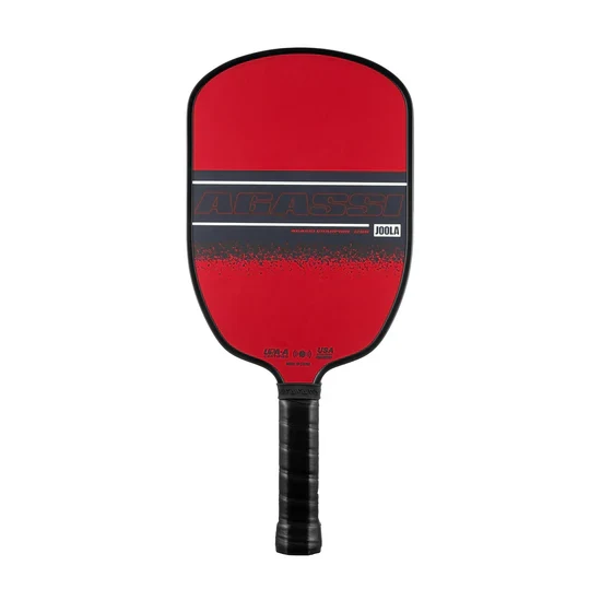 JOOLA AGASSI/GRAF CHAMPION PICKLEBALL PADDLE SET