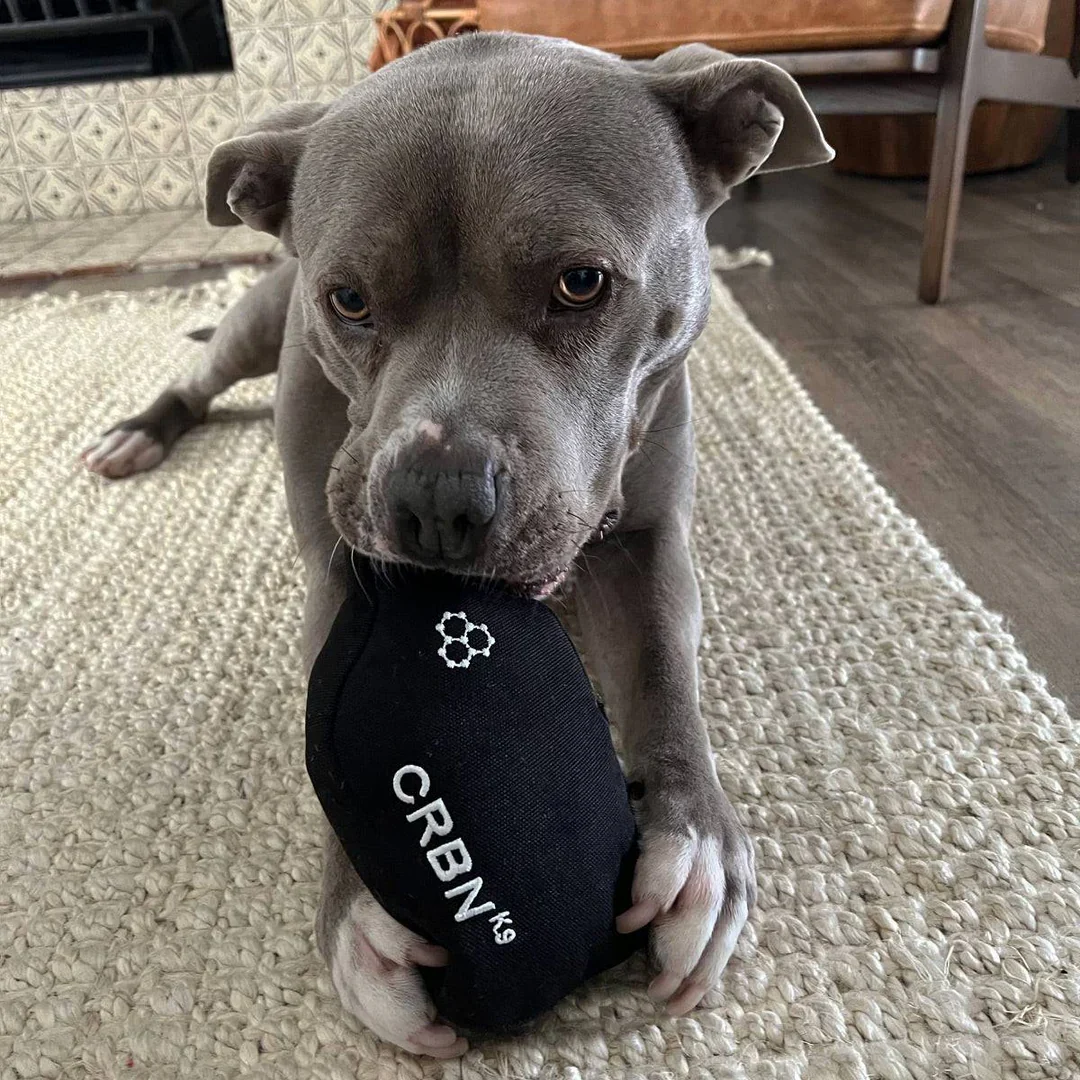 CRBN Dog Squeak Toy Pickleball Paddle