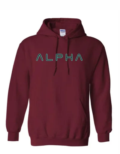 Felpa con cappuccio Alpha Heavy Weight Classic Fit
