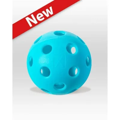 Franklin X-26 Indoor pickleballs
